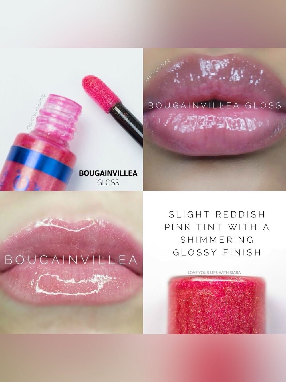 LipSense Bougainvillea Gloss — Shimmering Pink
